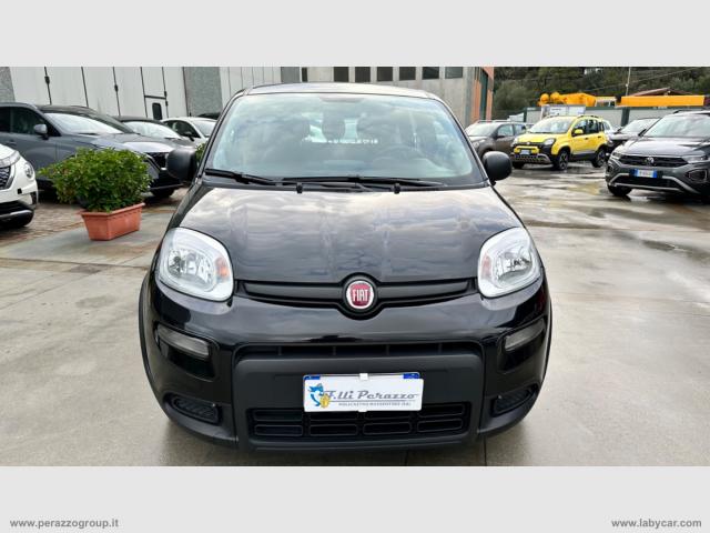 Auto - Fiat panda 1.0 firefly s&s hybrid city life