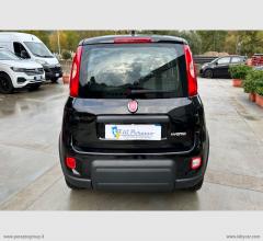 Auto - Fiat panda 1.0 firefly s&s hybrid city life