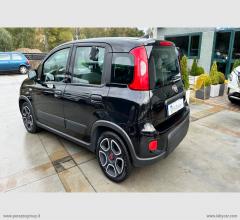 Auto - Fiat panda 1.0 firefly s&s hybrid city life