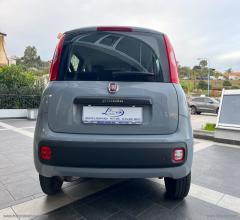 Auto - Fiat panda 1.2 easy