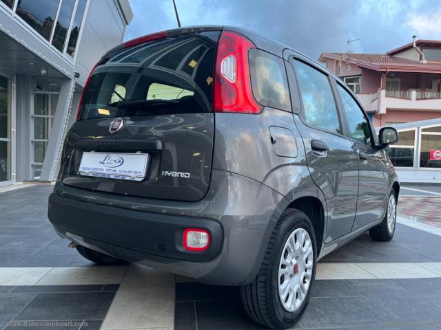 Auto - Fiat panda 1.0 firefly s&s hybrid