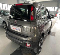 Auto - Fiat panda cross 1.0 firefly s&s hybrid