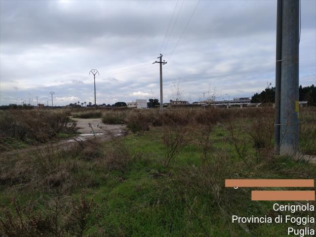 Terreno agricolo in vendita a cerignola fornaci