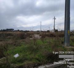 Appartamenti in Vendita - Terreno agricolo in vendita a cerignola fornaci