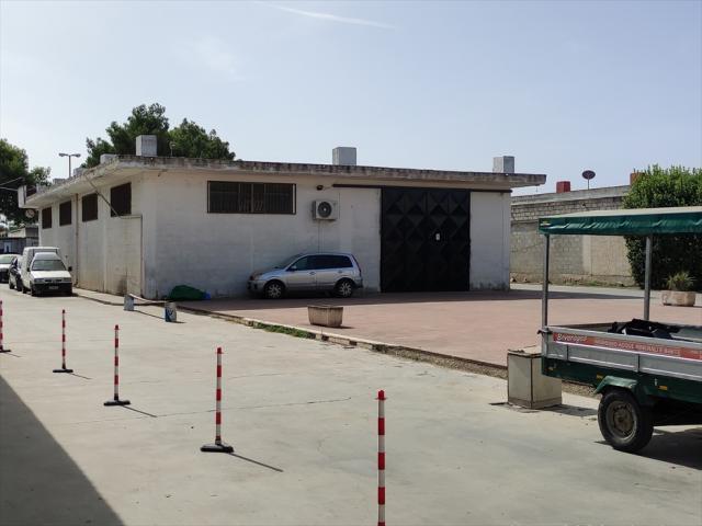 Terreno agricolo in vendita a cerignola via trinitapoli
