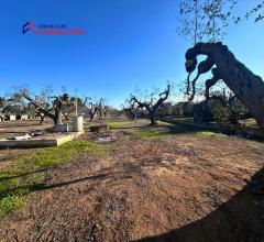 Appartamenti in Vendita - Villa in vendita a san marzano di san giuseppe periferia