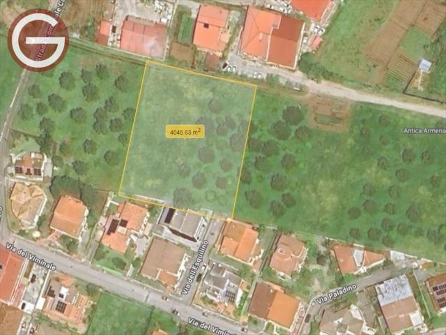 Appartamenti in Vendita - Terreno agricolo in vendita/locazione a taurianova periferia