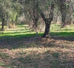 Appartamenti in Vendita - Terreno residenziale in vendita a silvi frazioni