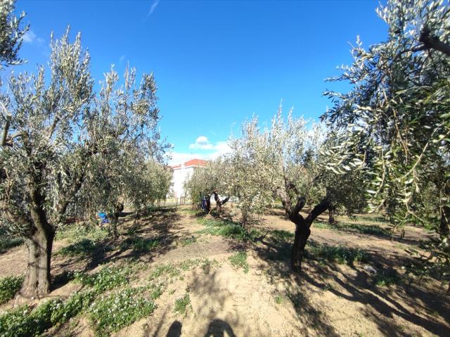 Appartamenti in Vendita - Terreno residenziale in vendita a silvi frazioni