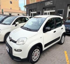Auto - Fiat panda 1.0 firefly s&s hybrid city life