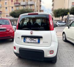 Auto - Fiat panda 1.0 firefly s&s hybrid city life
