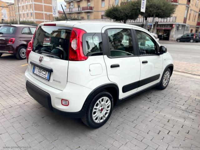Auto - Fiat panda 1.0 firefly s&s hybrid city life