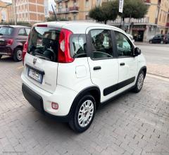 Auto - Fiat panda 1.0 firefly s&s hybrid city life
