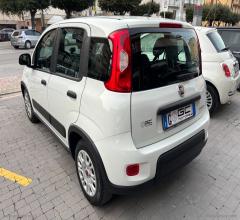 Auto - Fiat panda 1.0 firefly s&s hybrid city life