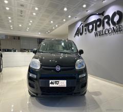 Auto - Fiat panda 1.2 pop