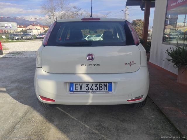 Auto - Fiat punto 1.4 8v 5p. easypower young