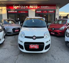 Auto - Fiat panda 1.2 easy