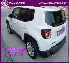 Auto - Jeep renegade 1.6 mjt 120cv limited