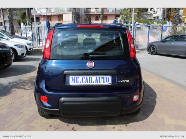 Auto - Fiat panda 1.0 firefly s&s hybrid city life