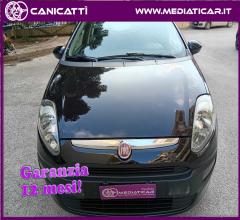 Auto - Fiat punto evo 1.3 mjt 90 cv 5p. fun