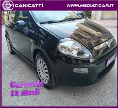 Auto - Fiat punto evo 1.3 mjt 90 cv 5p. fun
