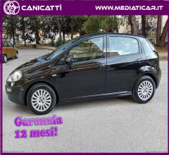 Auto - Fiat punto evo 1.3 mjt 90 cv 5p. fun
