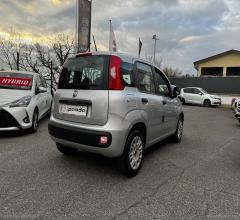 Auto - Fiat panda 1.2 easy