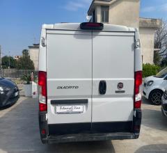 Auto - Fiat ducato 33 2.3 mjt 130cv pm-tn furgone