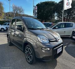 Auto - Fiat panda 1.0 firefly s&s hybrid city life