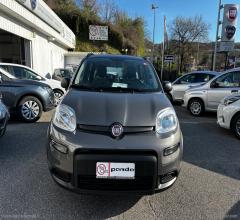 Auto - Fiat panda 1.0 firefly s&s hybrid city life