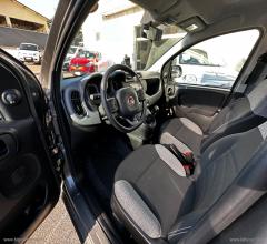 Auto - Fiat panda 1.0 firefly s&s hybrid city life