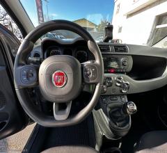 Auto - Fiat panda 1.0 firefly s&s hybrid city life