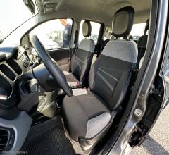 Auto - Fiat panda 1.0 firefly s&s hybrid city life