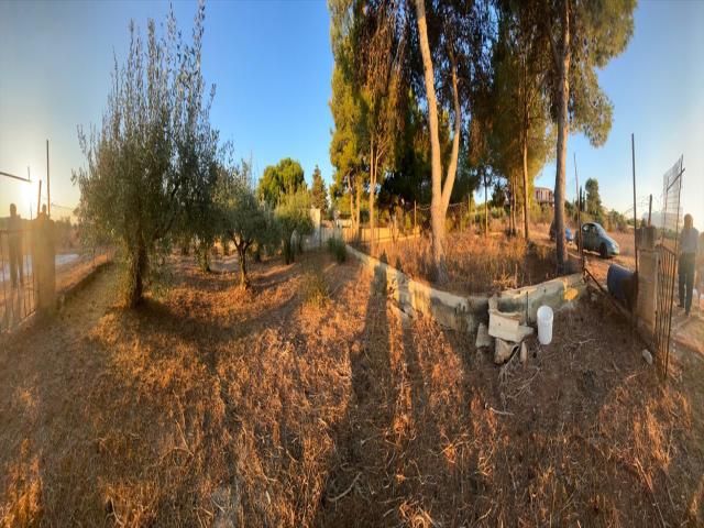 Terreno agricolo in vendita a custonaci cornino