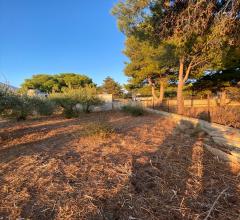 Appartamenti in Vendita - Terreno agricolo in vendita a custonaci cornino