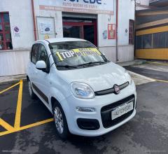 Auto - Fiat panda 1.3 mjt s&s easy