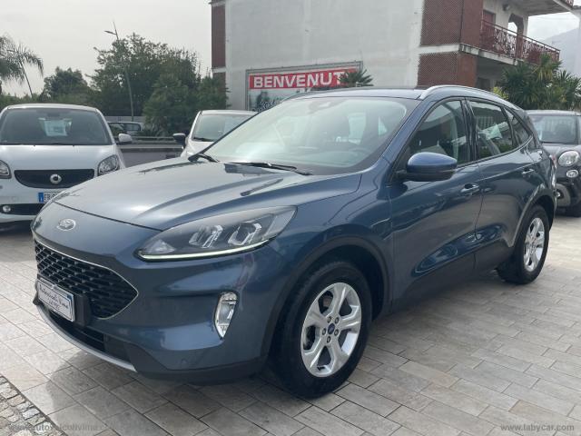 Auto - Ford kuga 1.5 ecoblue 120 cv 2wd connect