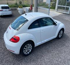 Auto - Volkswagen maggiolino new beetle 1.6 tdi 105cv