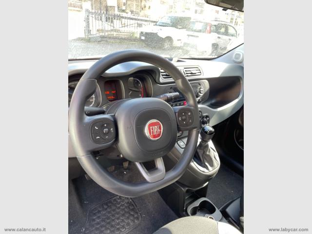 Auto - Fiat panda 1.0 firefly s&s hybrid city life