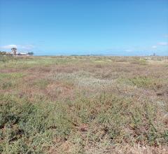 Appartamenti in Vendita - Terreno agricolo in vendita a misiliscemi marausa