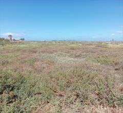 Appartamenti in Vendita - Terreno agricolo in vendita a marsala marausa