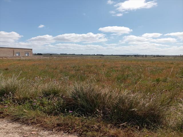 Appartamenti in Vendita - Terreno agricolo in vendita a misiliscemi marausa