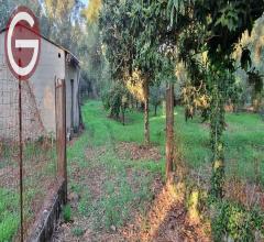 Appartamenti in Vendita - Terreno agricolo in vendita a taurianova zona semicentrale