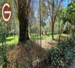 Appartamenti in Vendita - Terreno agricolo in vendita a taurianova zona semicentrale