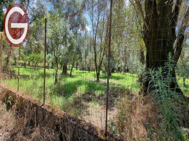 Appartamenti in Vendita - Terreno agricolo in vendita a taurianova zona semicentrale