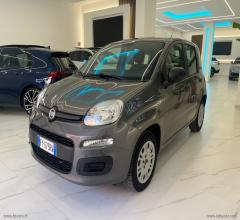 Auto - Fiat panda 1.2 lounge