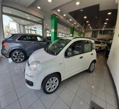 Auto - Fiat panda 1.3 mjt 16v dynamic