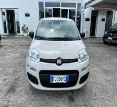 Auto - Fiat panda 1.2 easypower easy