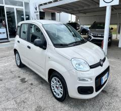 Auto - Fiat panda 1.2 easypower easy