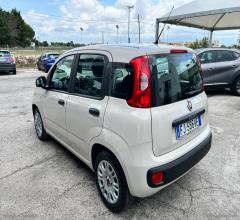 Auto - Fiat panda 1.2 easypower easy